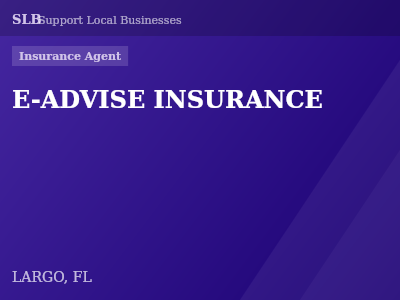 E-ADVISE INSURANCE — Insurance Agent in LARGO, FL
