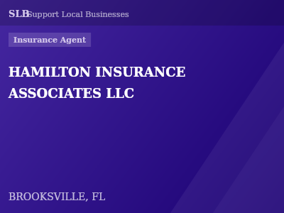 HAMILTON INSURANCE ASSOCIATES LLC — Insurance Agent in BROOKSVILLE, FL