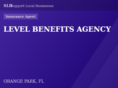 LEVEL BENEFITS AGENCY — Insurance Agent in ORANGE PARK, FL