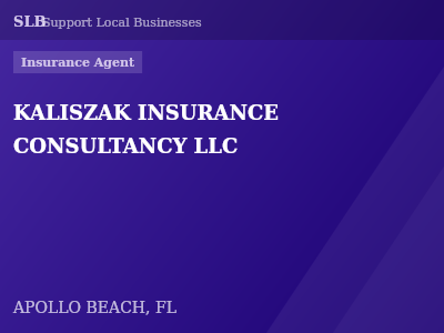 KALISZAK INSURANCE CONSULTANCY LLC — Insurance Agent in APOLLO BEACH, FL
