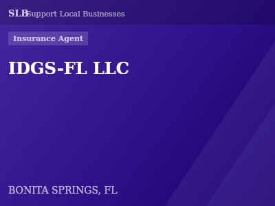 IDGS-FL LLC — Insurance Agent in BONITA SPRINGS, FL