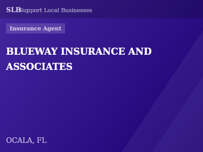 BLUEWAY INSURANCE AND ASSOCIATES — Insurance Agent in OCALA, FL