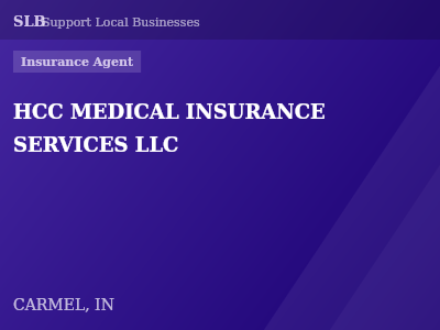 HCC MEDICAL INSURANCE SERVICES LLC — Insurance Agent in CARMEL, IN
