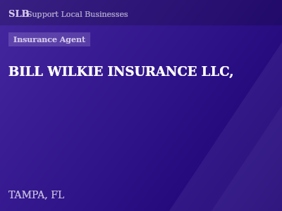 BILL WILKIE INSURANCE LLC, — Insurance Agent in TAMPA, FL