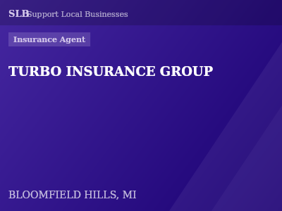 TURBO INSURANCE GROUP — Insurance Agent in BLOOMFIELD HILLS, MI