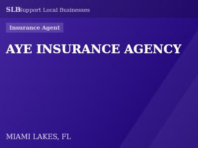 AYE INSURANCE AGENCY — Insurance Agent in MIAMI LAKES, FL