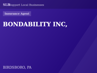 BONDABILITY INC, — Insurance Agent in BIRDSBORO, PA