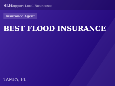 BEST FLOOD INSURANCE — Insurance Agent in TAMPA, FL