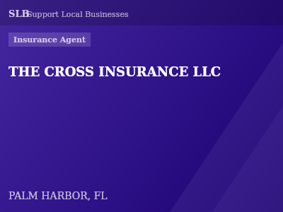 THE CROSS INSURANCE LLC — Insurance Agent in PALM HARBOR, FL