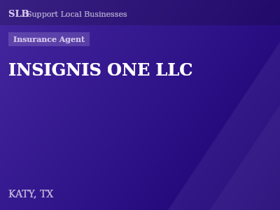 INSIGNIS ONE LLC — Insurance Agent in KATY, TX
