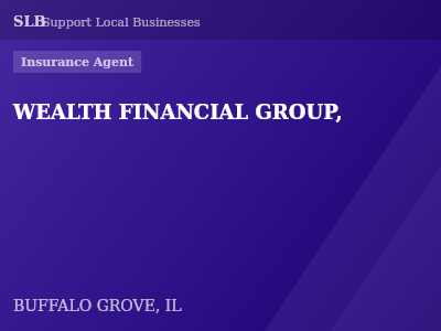 WEALTH FINANCIAL GROUP, — Insurance Agent in BUFFALO GROVE, IL