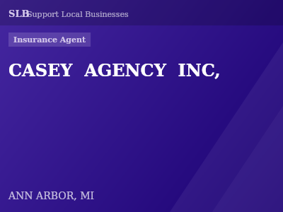 CASEY  AGENCY  INC, — Insurance Agent in ANN ARBOR, MI