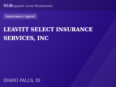LEAVITT SELECT INSURANCE SERVICES, INC — Insurance Agent in IDAHO FALLS, ID