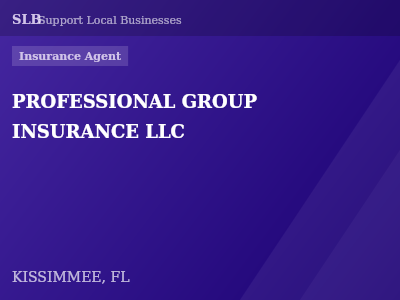 PROFESSIONAL GROUP INSURANCE LLC — Insurance Agent in KISSIMMEE, FL