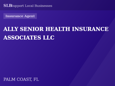 ALLY SENIOR HEALTH INSURANCE ASSOCIATES LLC — Insurance Agent in PALM COAST, FL