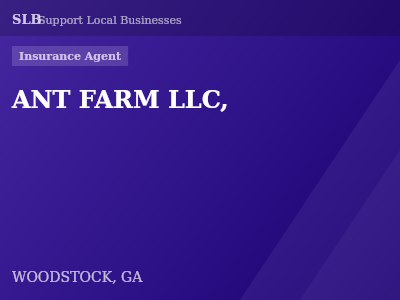 ANT FARM LLC, — Insurance Agent in WOODSTOCK, GA