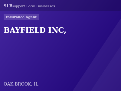 BAYFIELD INC, — Insurance Agent in OAK BROOK, IL
