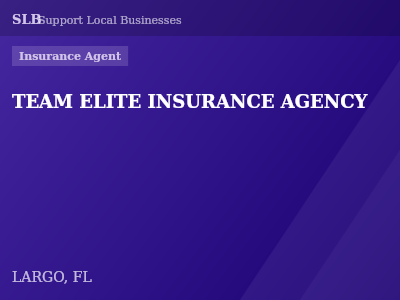 TEAM ELITE INSURANCE AGENCY — Insurance Agent in LARGO, FL