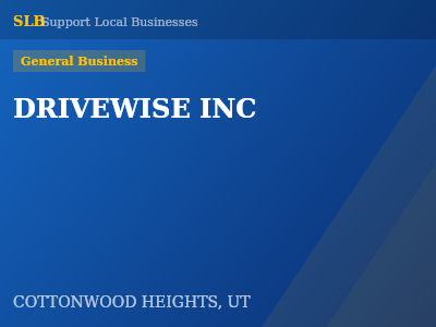 DRIVEWISE INC — General Business in COTTONWOOD HEIGHTS, UT