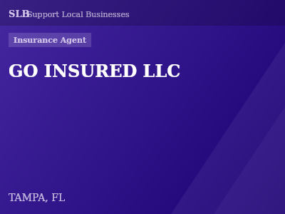 GO INSURED LLC — Insurance Agent in TAMPA, FL