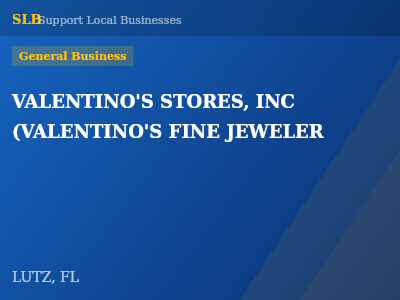 VALENTINO'S STORES, INC  (VALENTINO'S FINE JEWELER — General Business in LUTZ, FL