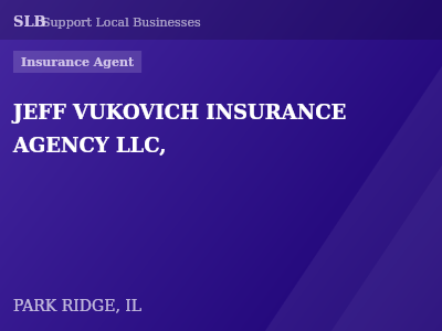 JEFF VUKOVICH INSURANCE AGENCY LLC, — Insurance Agent in PARK RIDGE, IL