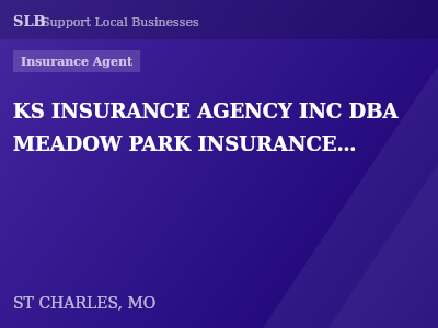 KS INSURANCE AGENCY INC DBA MEADOW PARK INSURANCE AGENCY, — Insurance Agent in ST CHARLES, MO