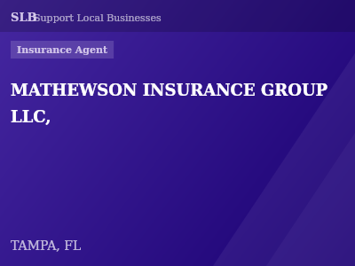 MATHEWSON INSURANCE GROUP LLC, — Insurance Agent in TAMPA, FL