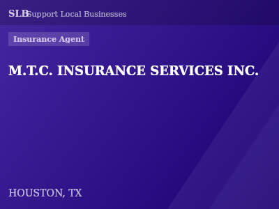 M.T.C. INSURANCE SERVICES INC. — Insurance Agent in HOUSTON, TX