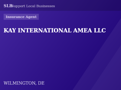KAY INTERNATIONAL AMEA LLC — Insurance Agent in WILMINGTON, DE