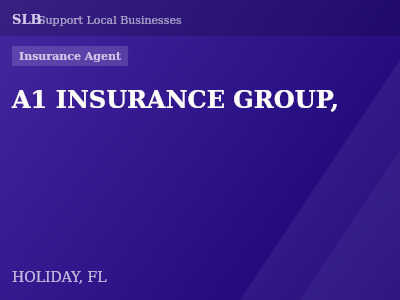 A1 INSURANCE GROUP, — Insurance Agent in HOLIDAY, FL