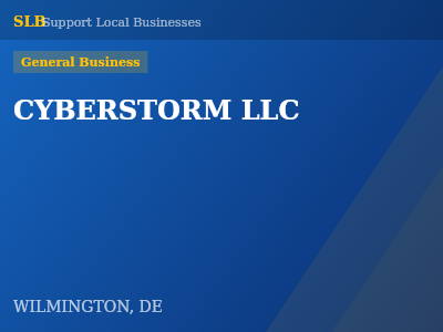 CYBERSTORM LLC — General Business in WILMINGTON, DE
