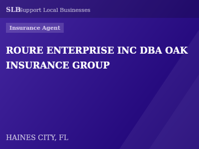 ROURE ENTERPRISE INC DBA OAK INSURANCE GROUP — Insurance Agent in HAINES CITY, FL