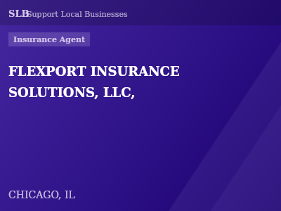FLEXPORT INSURANCE SOLUTIONS, LLC, — Insurance Agent in CHICAGO, IL