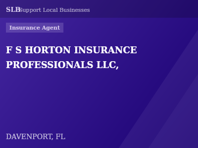 F S HORTON INSURANCE PROFESSIONALS LLC, — Insurance Agent in DAVENPORT, FL