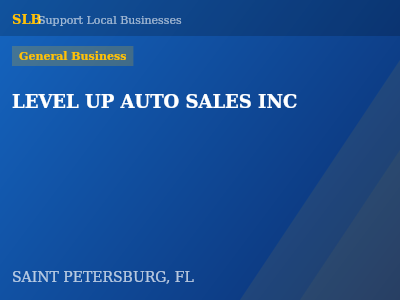 LEVEL UP AUTO SALES INC — General Business in SAINT PETERSBURG, FL