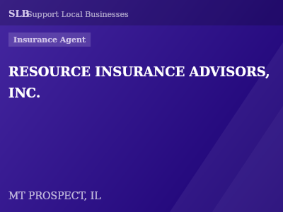 RESOURCE INSURANCE ADVISORS, INC. — Insurance Agent in MT PROSPECT, IL