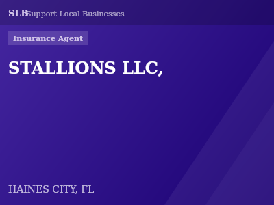 STALLIONS LLC, — Insurance Agent in HAINES CITY, FL