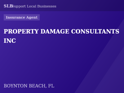 PROPERTY DAMAGE CONSULTANTS INC — Insurance Agent in BOYNTON BEACH, FL