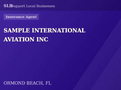 SAMPLE INTERNATIONAL AVIATION INC — Insurance Agent in ORMOND BEACH, FL