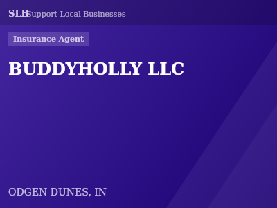 BUDDYHOLLY LLC — Insurance Agent in ODGEN DUNES, IN