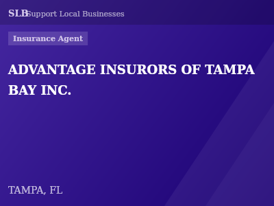ADVANTAGE INSURORS OF TAMPA BAY INC. — Insurance Agent in TAMPA, FL