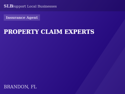 PROPERTY CLAIM EXPERTS — Insurance Agent in BRANDON, FL