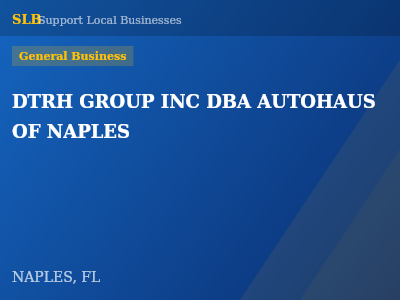 DTRH GROUP INC DBA AUTOHAUS OF NAPLES — General Business in NAPLES, FL