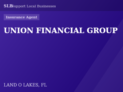 UNION FINANCIAL GROUP — Insurance Agent in LAND O LAKES, FL
