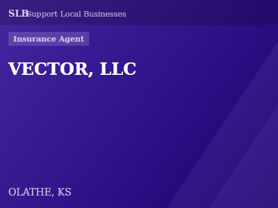 VECTOR, LLC — Insurance Agent in OLATHE, KS