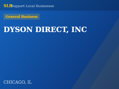 DYSON DIRECT, INC — General Business in CHICAGO, IL