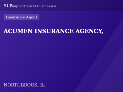ACUMEN INSURANCE AGENCY, — Insurance Agent in NORTHBROOK, IL