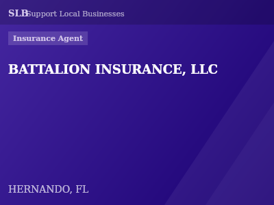 BATTALION INSURANCE, LLC — Insurance Agent in HERNANDO, FL