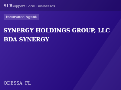 SYNERGY HOLDINGS GROUP, LLC   BDA SYNERGY — Insurance Agent in ODESSA, FL